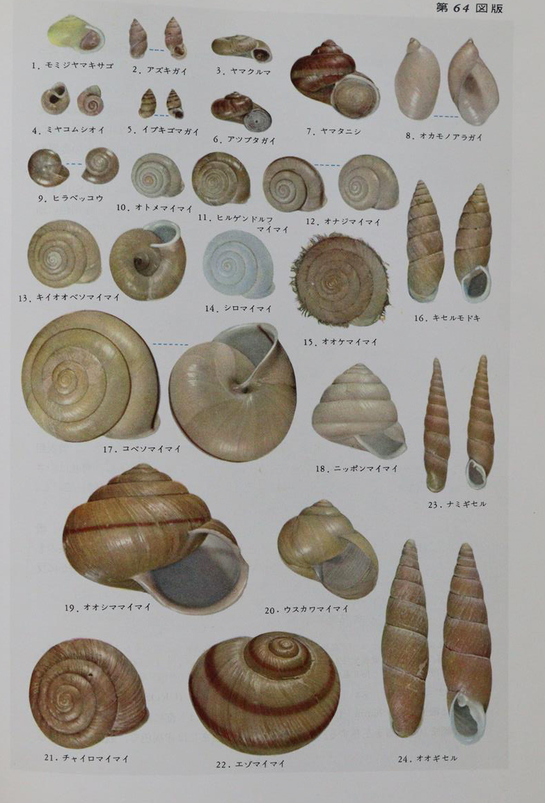 Hoikusha Illustrated Natural History | Bild Nr.5