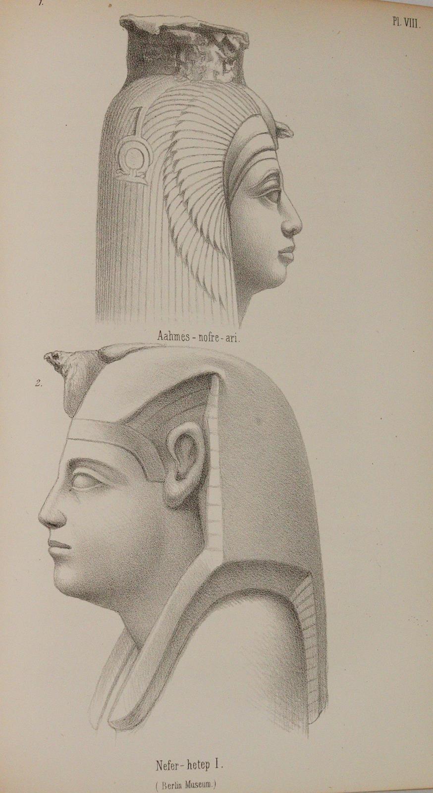 Indigenous Races | Bild Nr.4