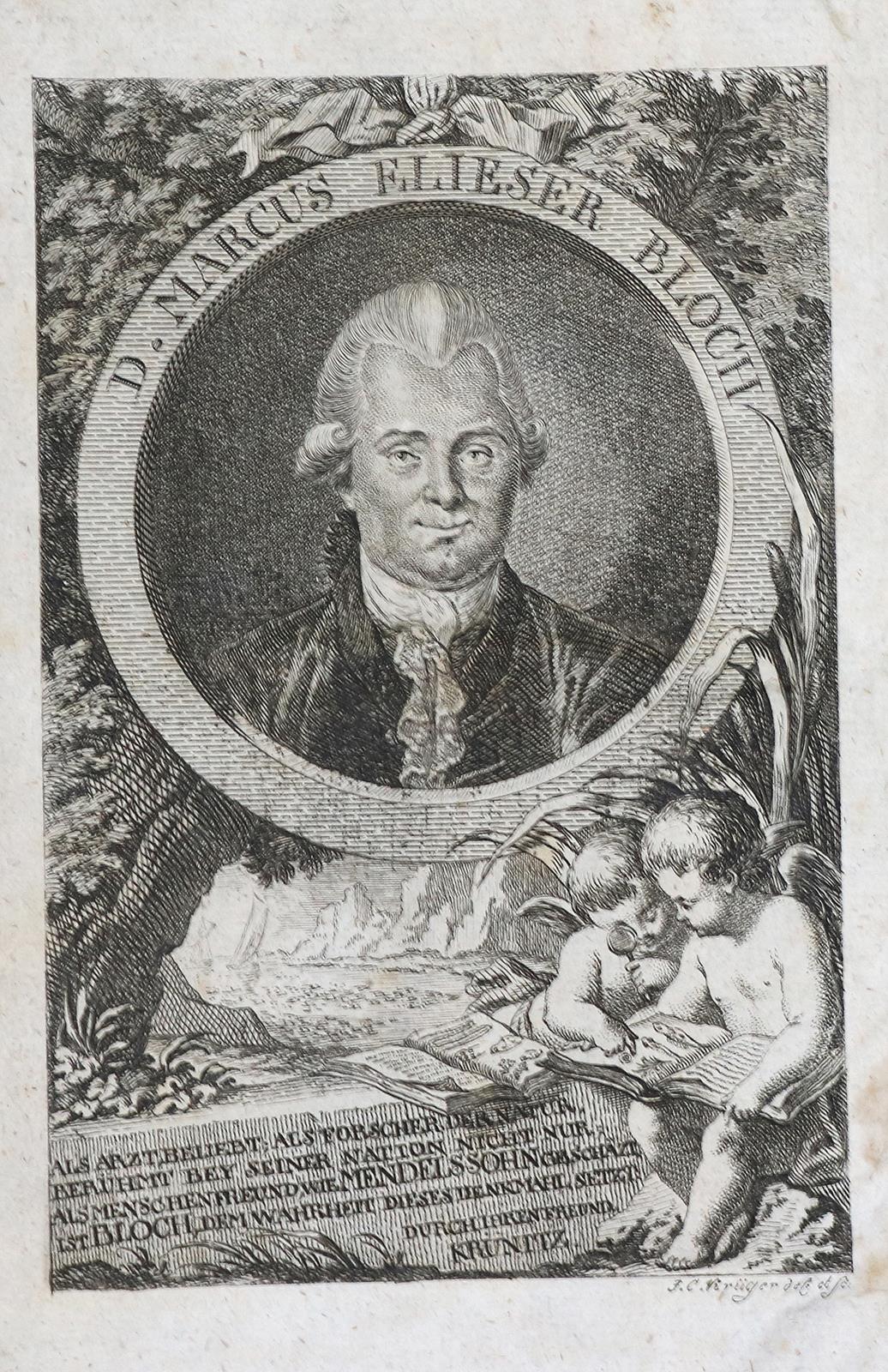 Krünitz,J.G. | Bild Nr.2