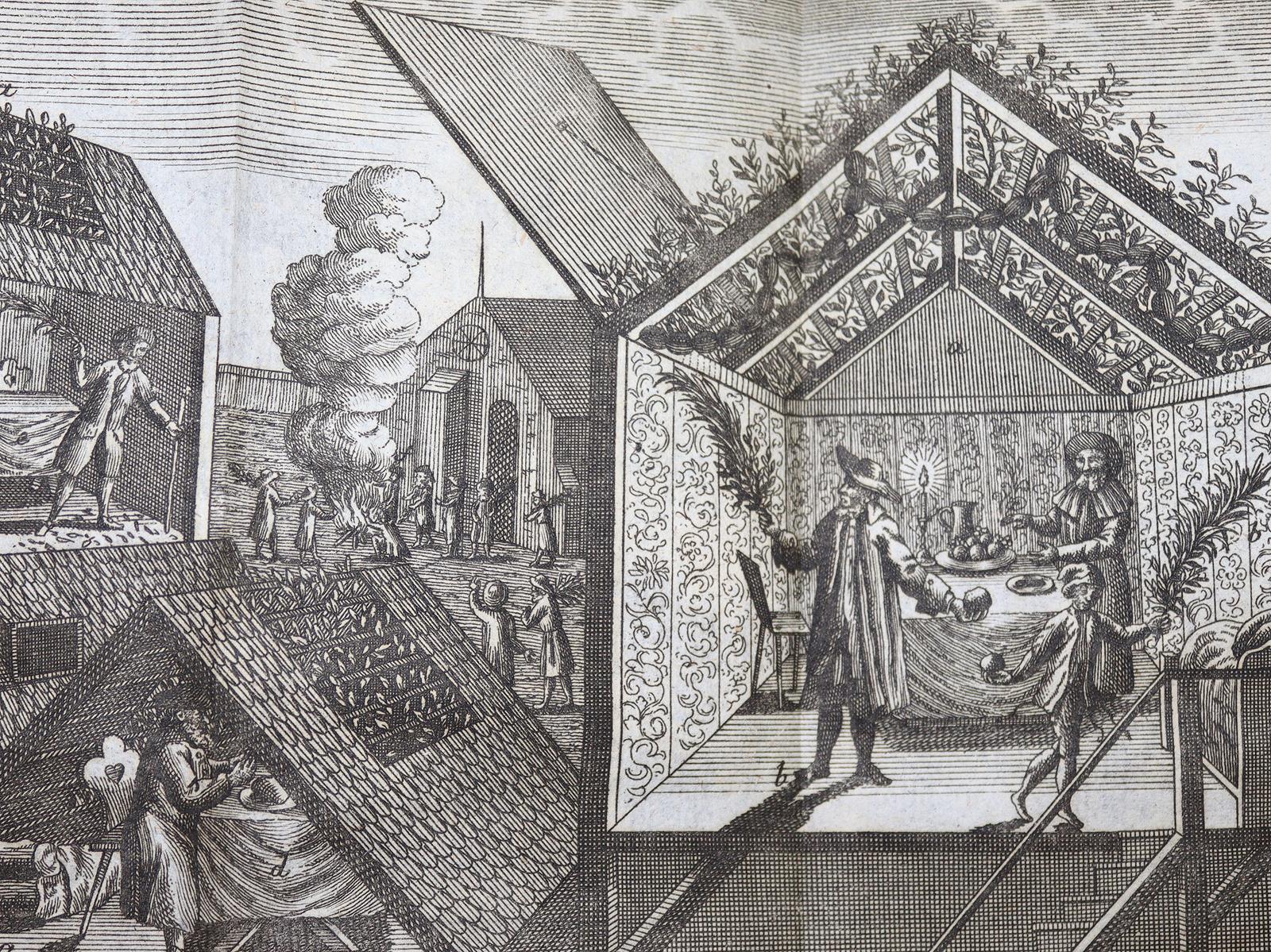 Krünitz,J.G. | Bild Nr.2