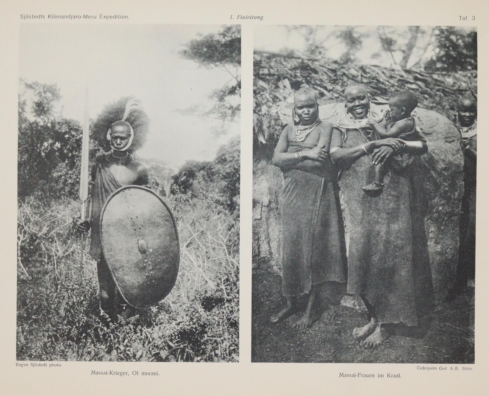 Sjöstedt,Y. | Bild Nr.2