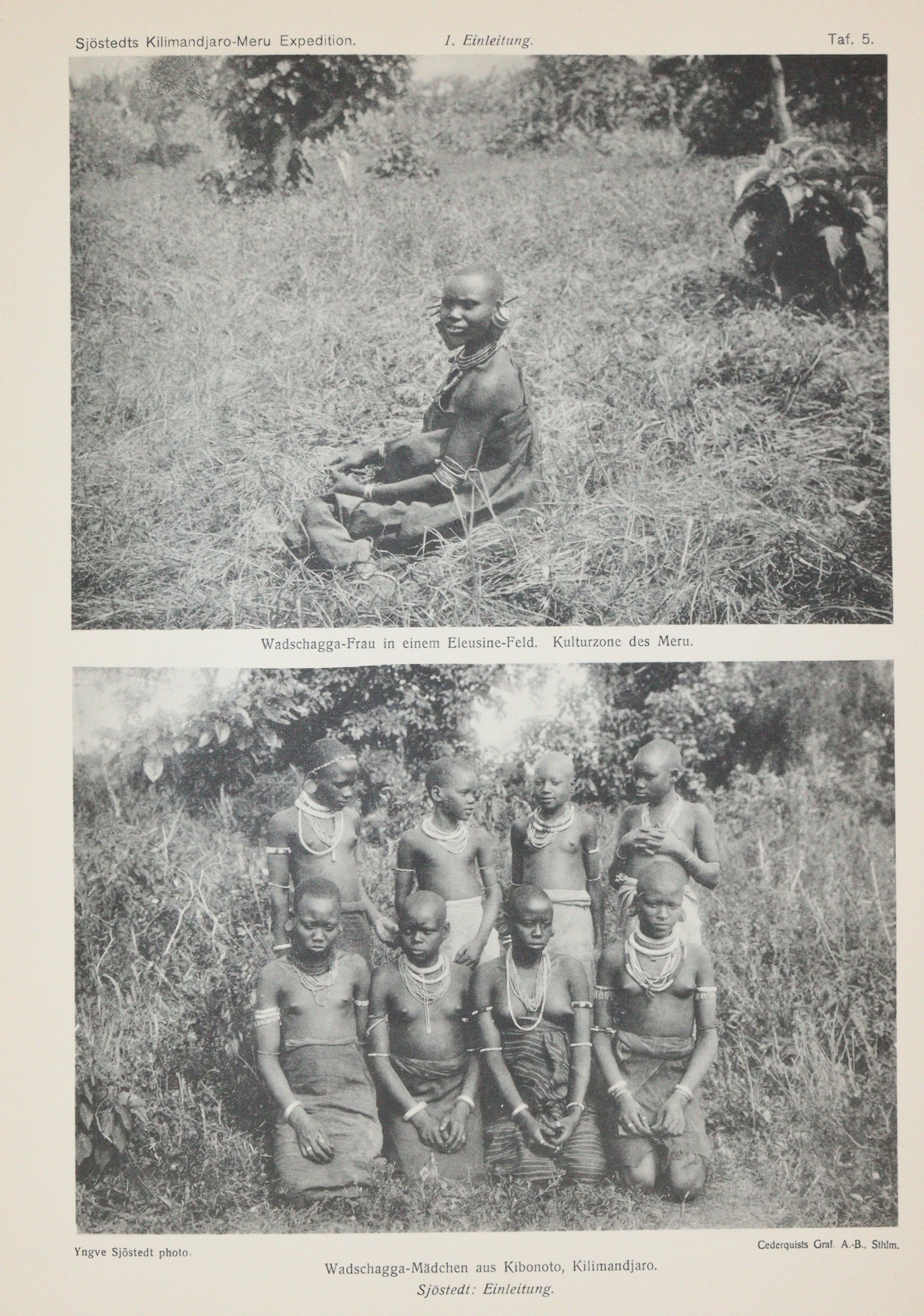 Sjöstedt,Y. | Bild Nr.3