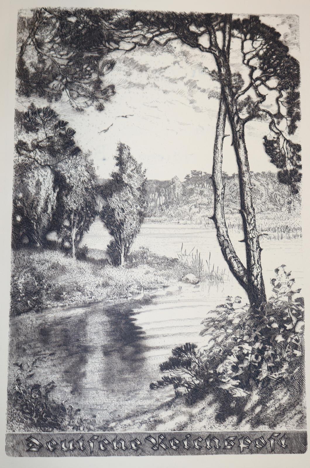 Triumph. | Bild Nr.1