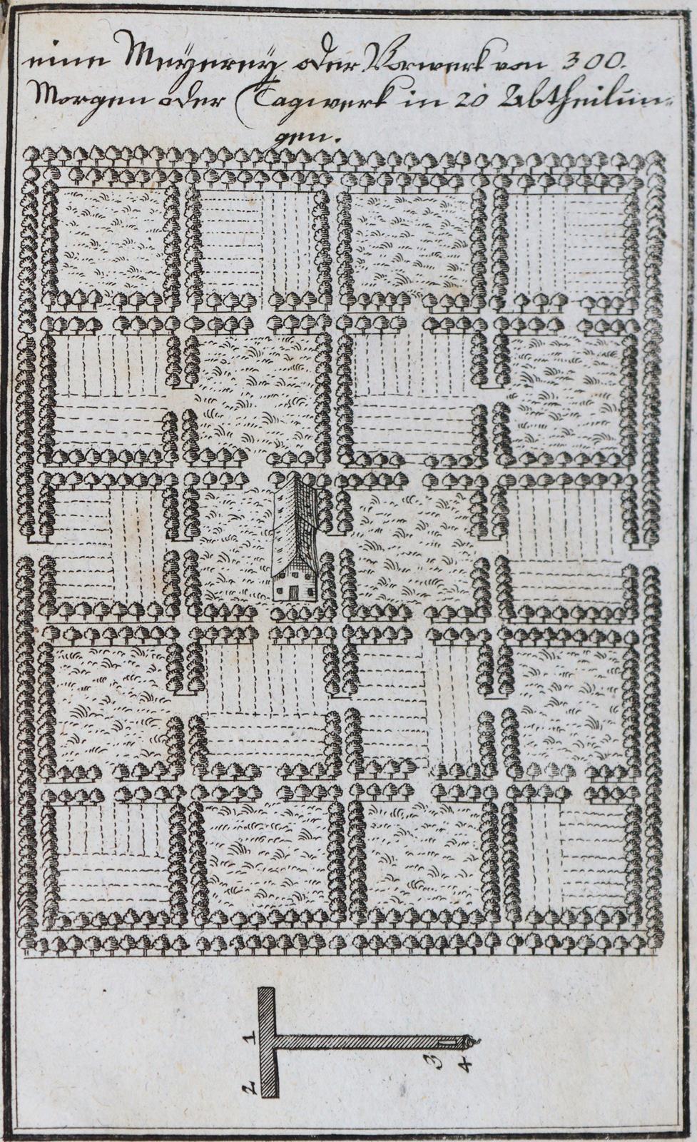 Bertrand,M.J. | Bild Nr.4