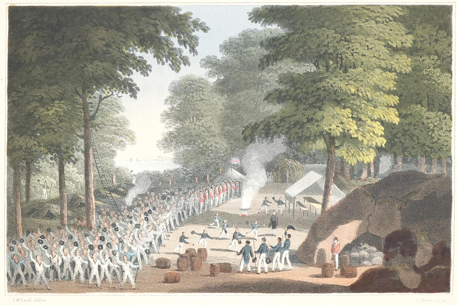 McLeod,J. | Bild Nr.2