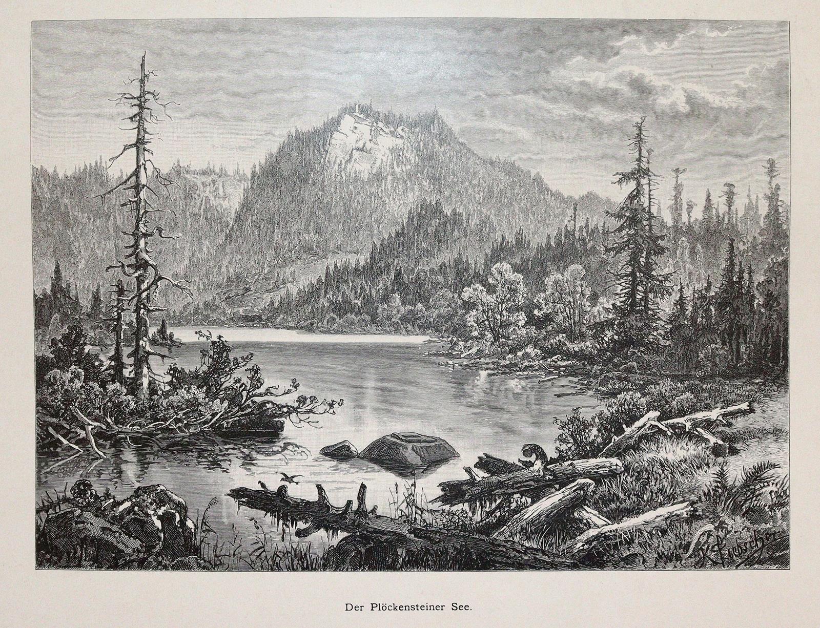 Bernau,F. | Bild Nr.3