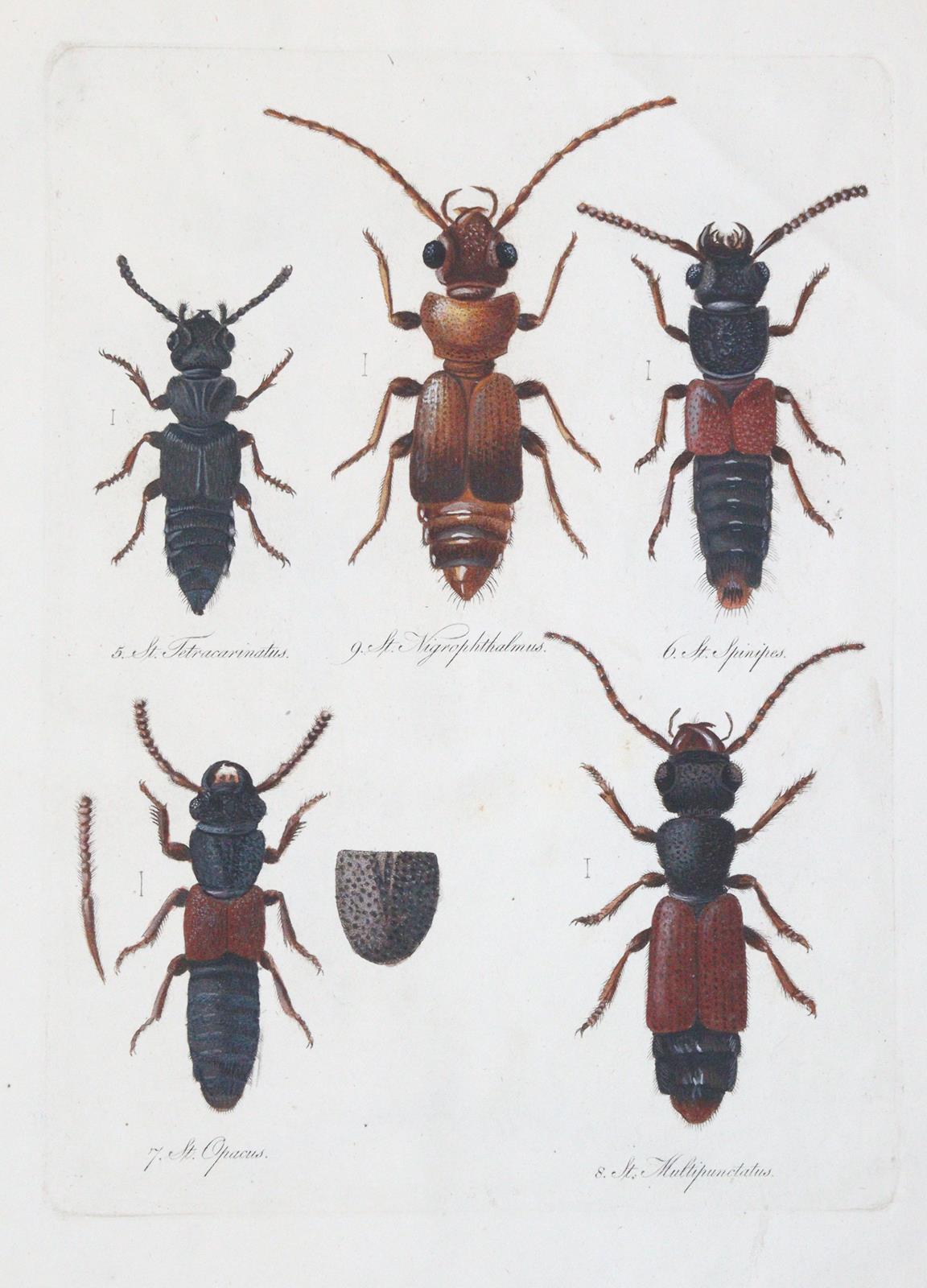 Becker,W.G. | Bild Nr.7