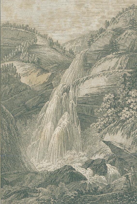 Schultes,J.A. | Bild Nr.1