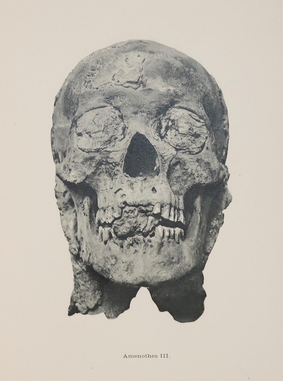 Smith,G.E. | Bild Nr.3