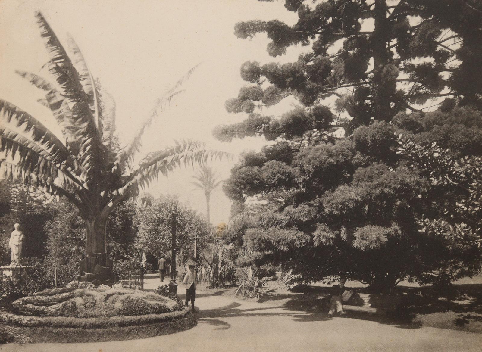 Storch,H. (Hrsg.). | Bild Nr.5