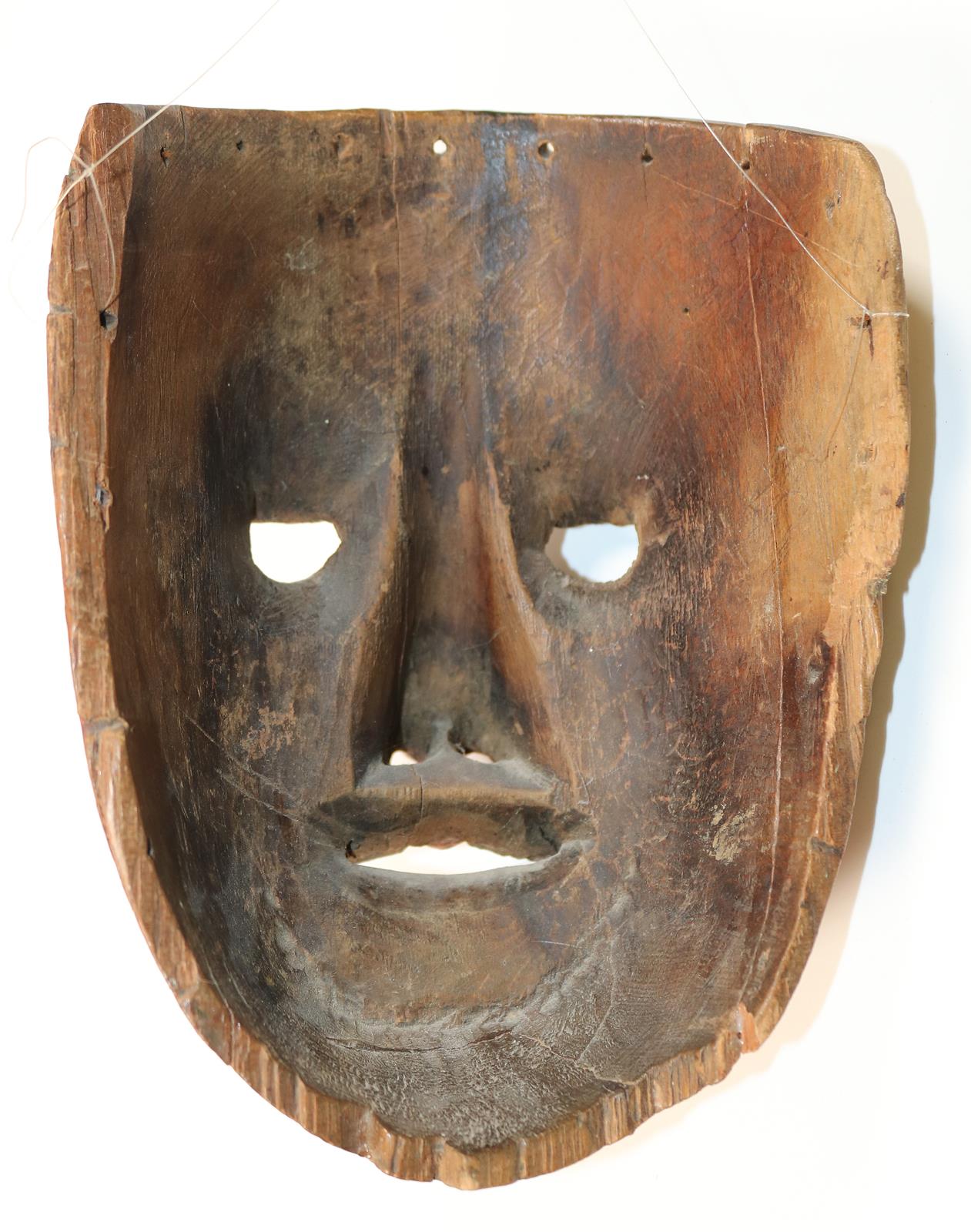 Holzmaske, Larve | Bild Nr.3