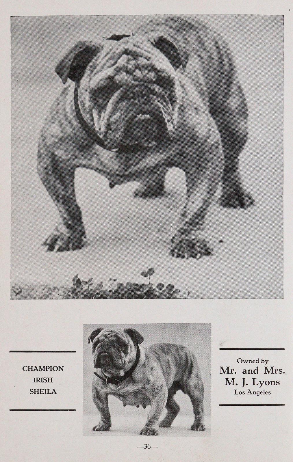 Konvolut | Bild Nr.2