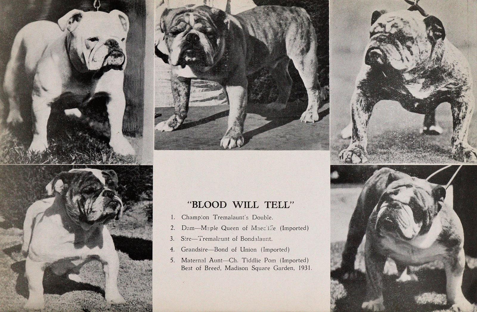 Konvolut | Bild Nr.3