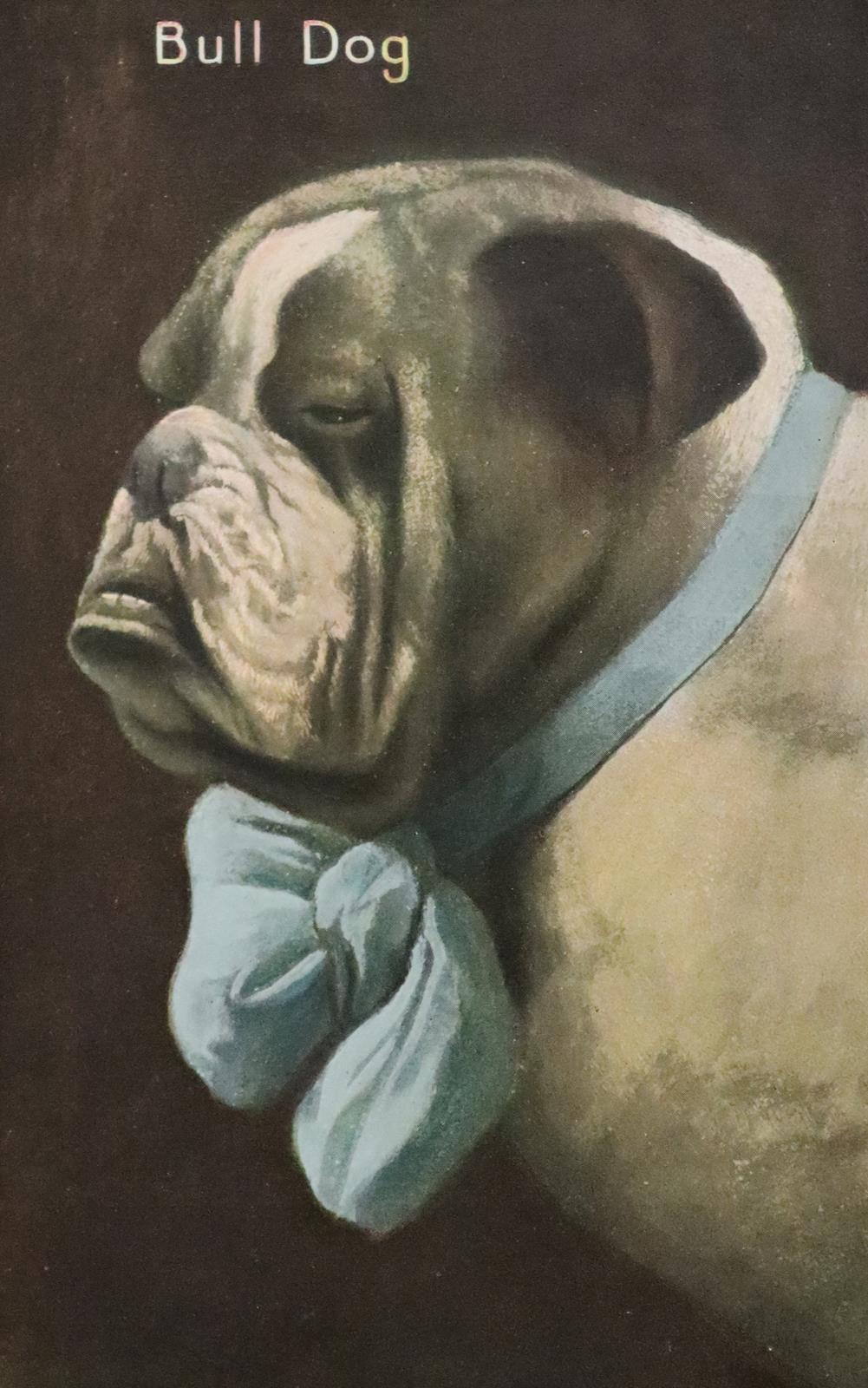 Sammlung | Bild Nr.1