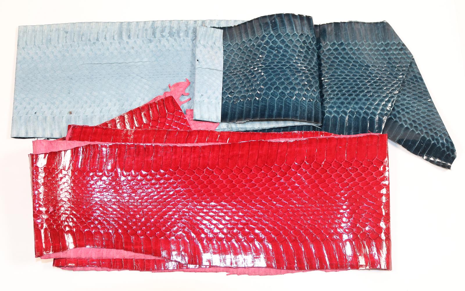 Schlangenhäute. | Bild Nr.1