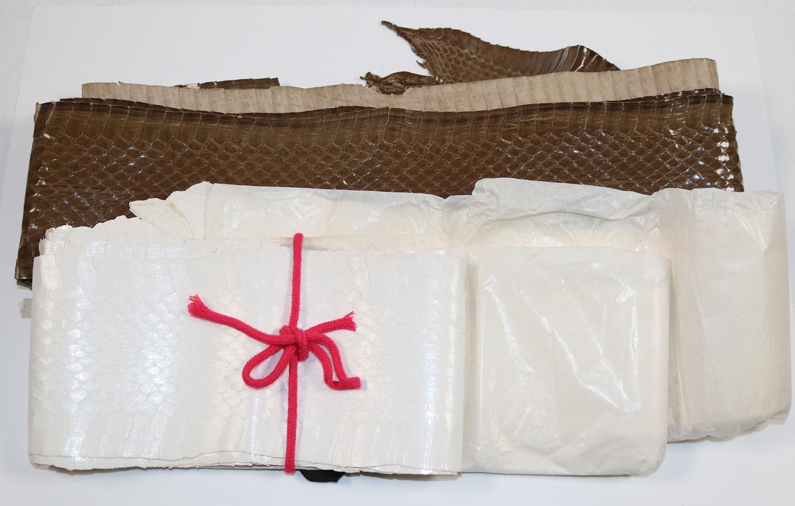 Schlangenhäute. | Bild Nr.2