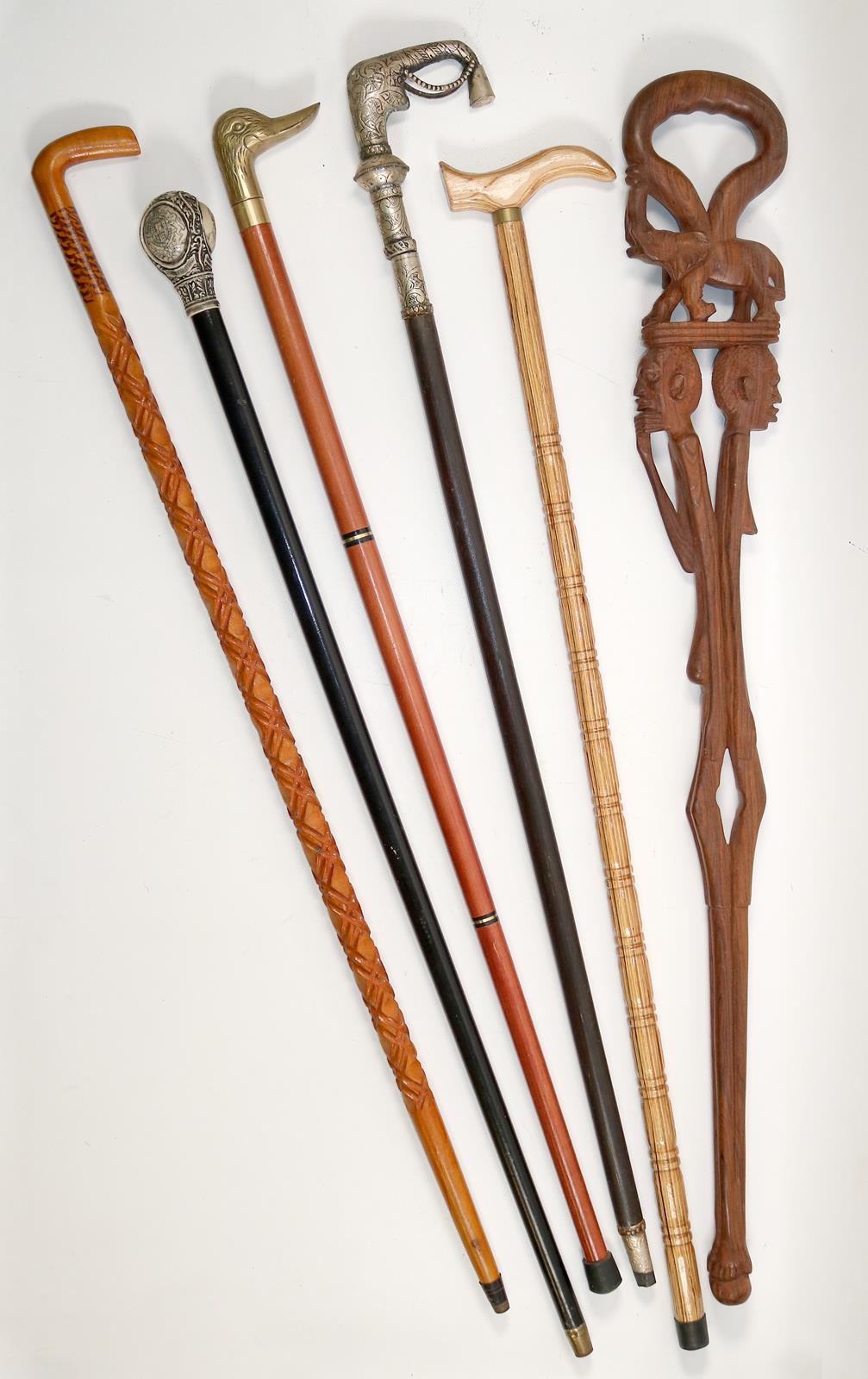 Spazierstöcke. | Bild Nr.1