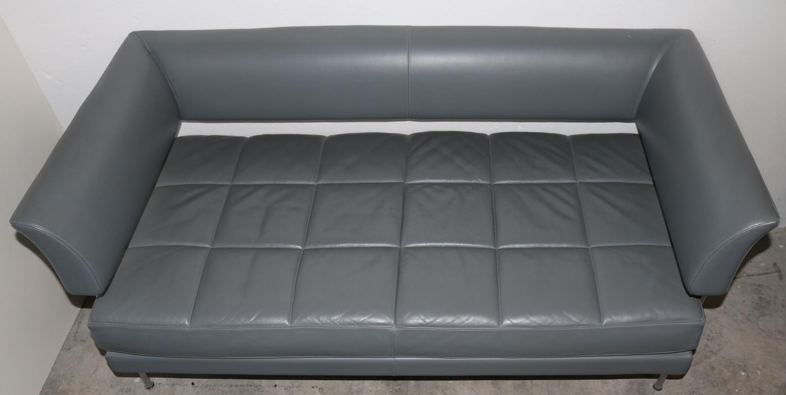 Hydra Castor. | Bild Nr.2