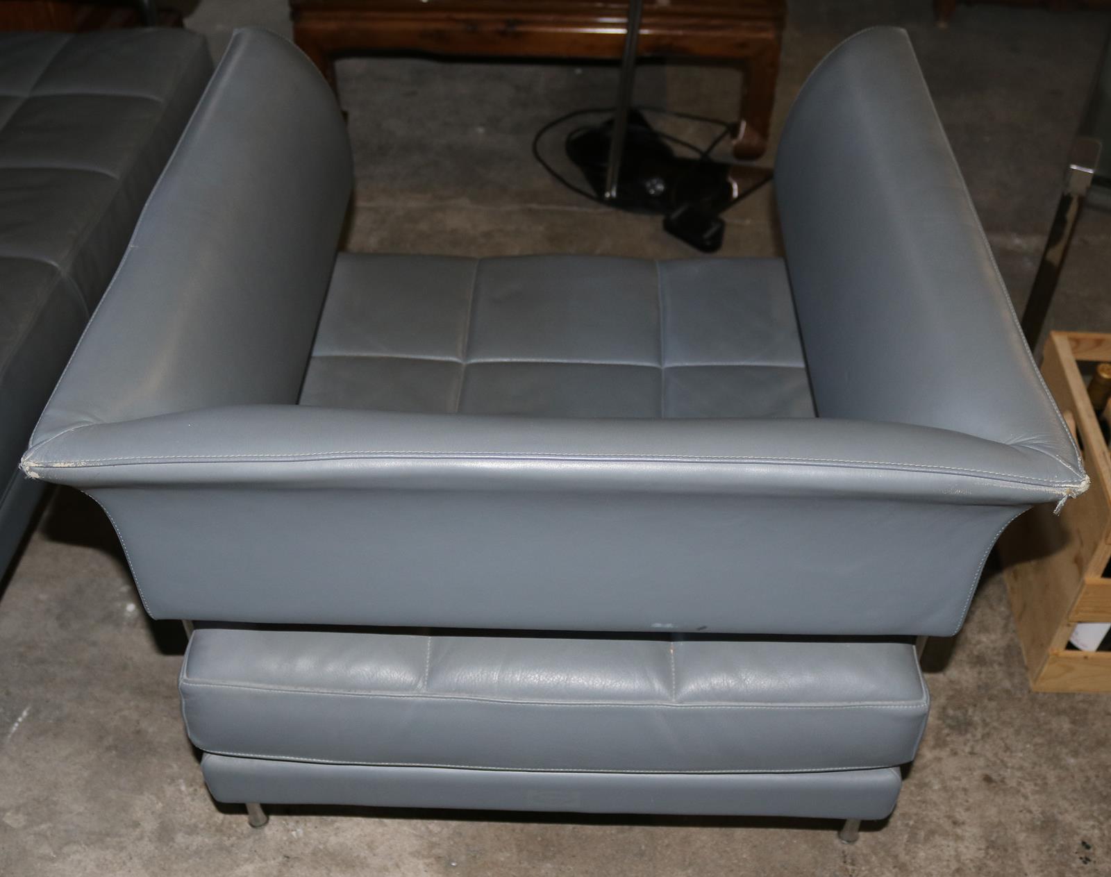 Hydra Castor. | Bild Nr.5