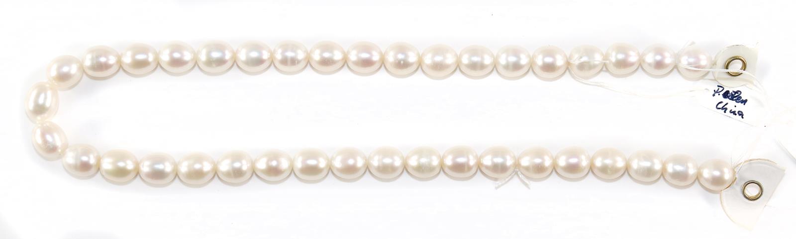 Perlenstrang. | Bild Nr.1