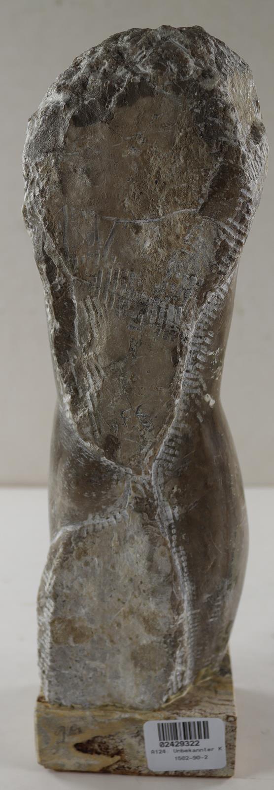 Unbekannter Künstler. | Bild Nr.6