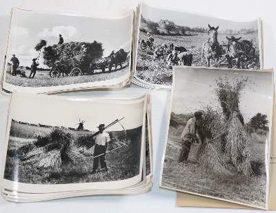 Konvolut | Bild Nr.4