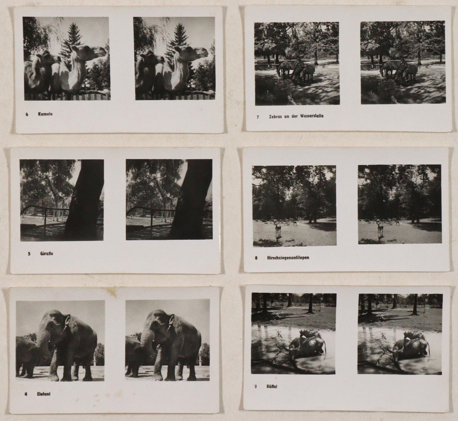 Sammlung | Bild Nr.1