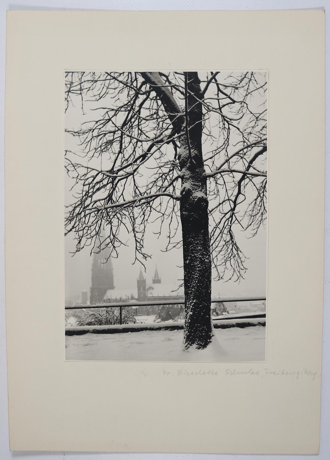 Schulze, Lieselotte | Bild Nr.4