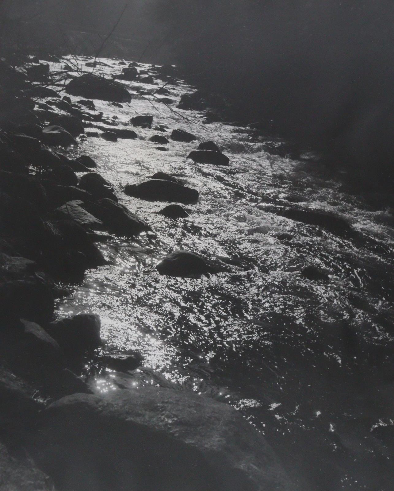 Wimmer, Hed | Bild Nr.9