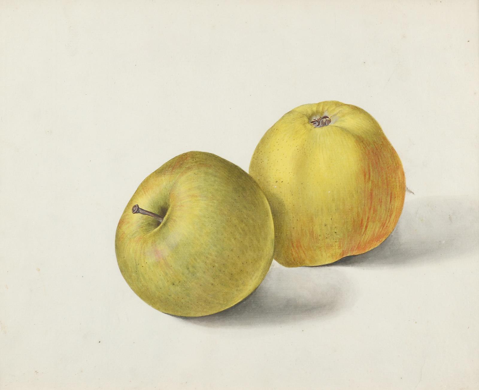 Blaschek,Franz. (1787-1868) | Bild Nr.4