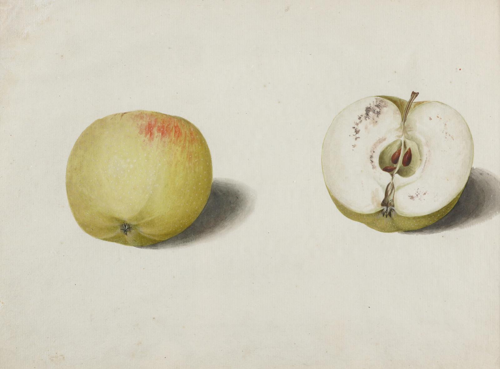 Blaschek,Franz. (1787-1868) | Bild Nr.5