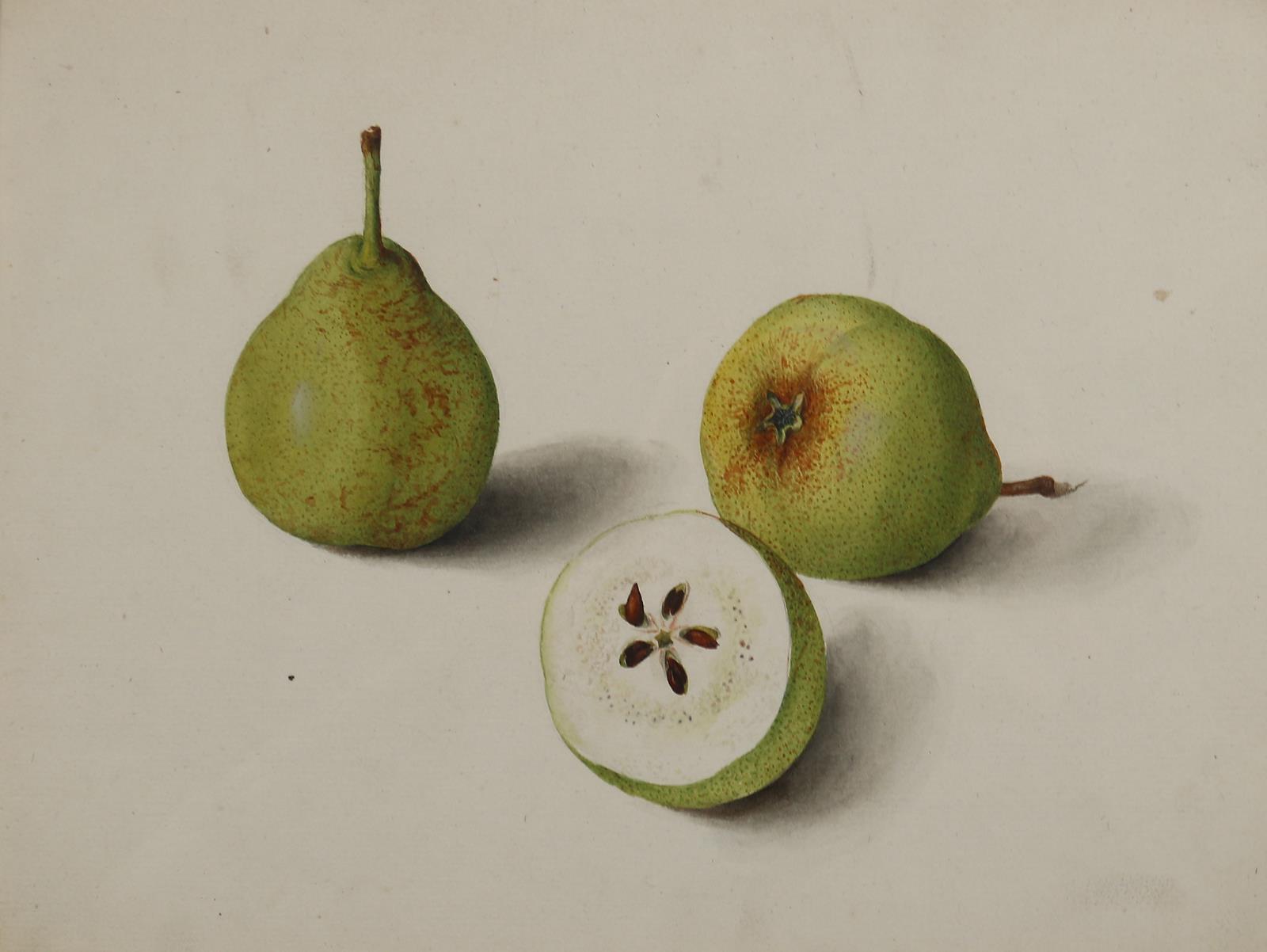 Blaschek,Franz. (1787-1868) | Bild Nr.7