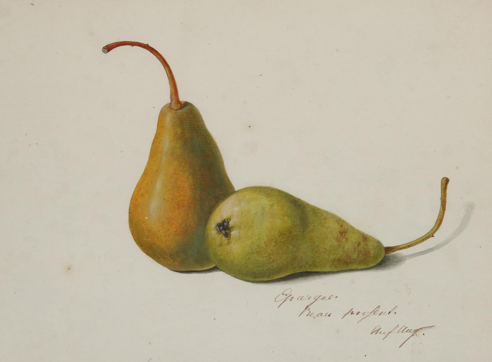 Blaschek,Franz. (1787-1868) | Bild Nr.8