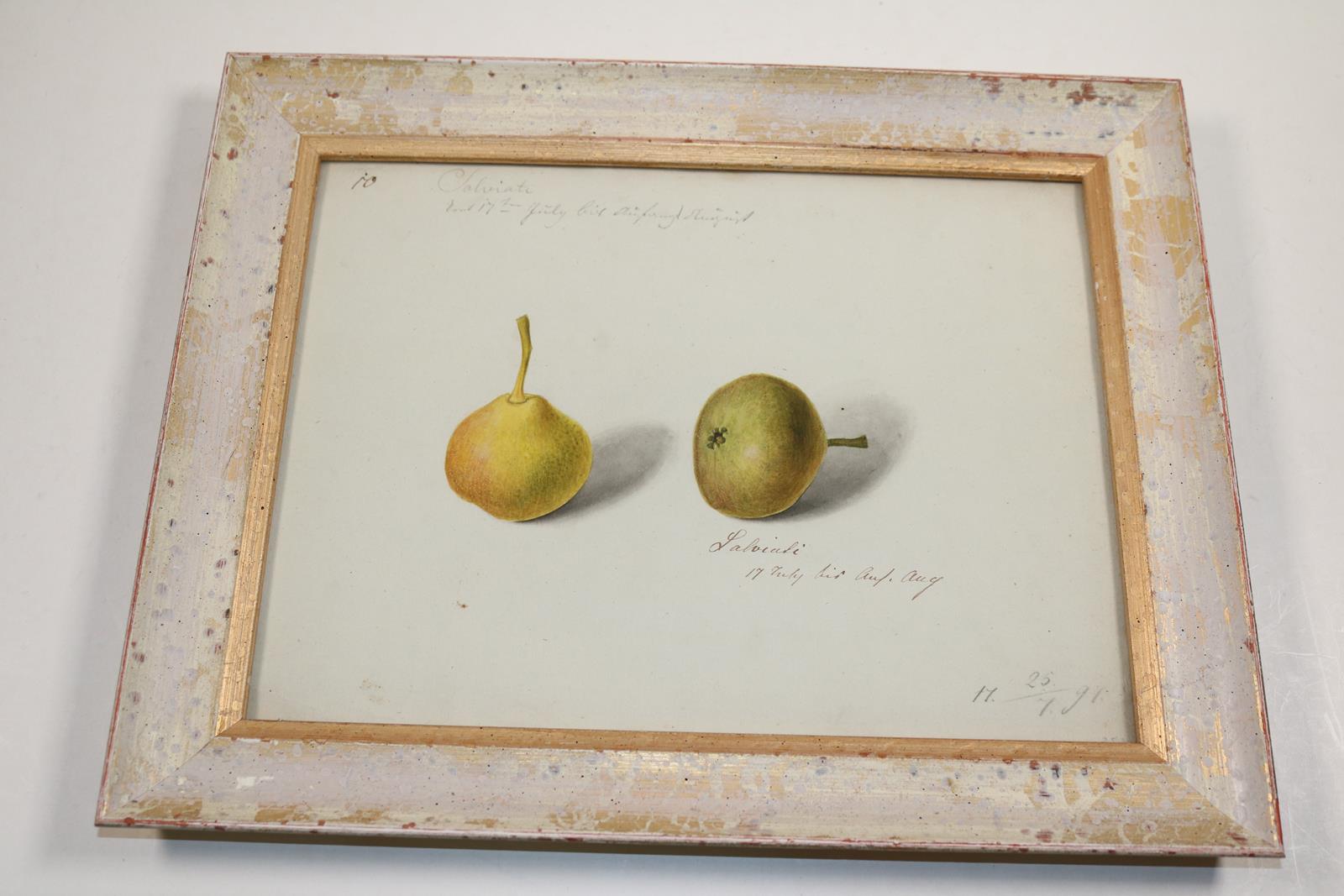 Blaschek,Franz. (1787-1868) | Bild Nr.14