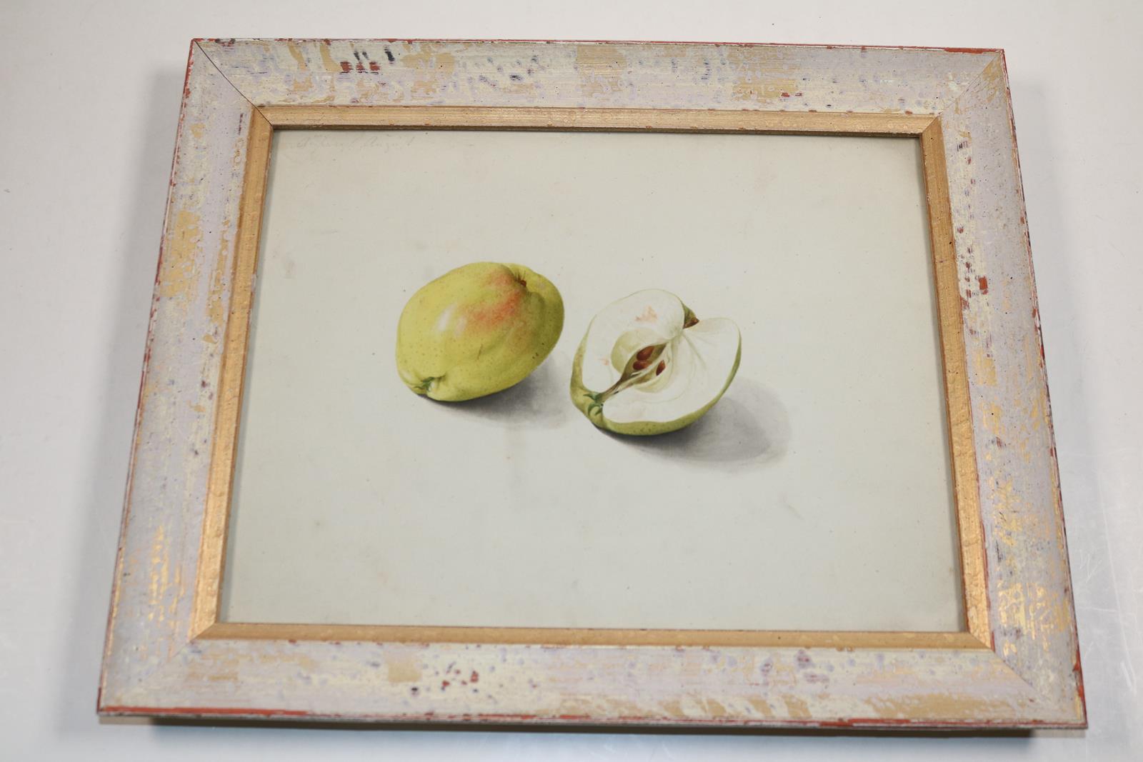 Blaschek,Franz. (1787-1868) | Bild Nr.20