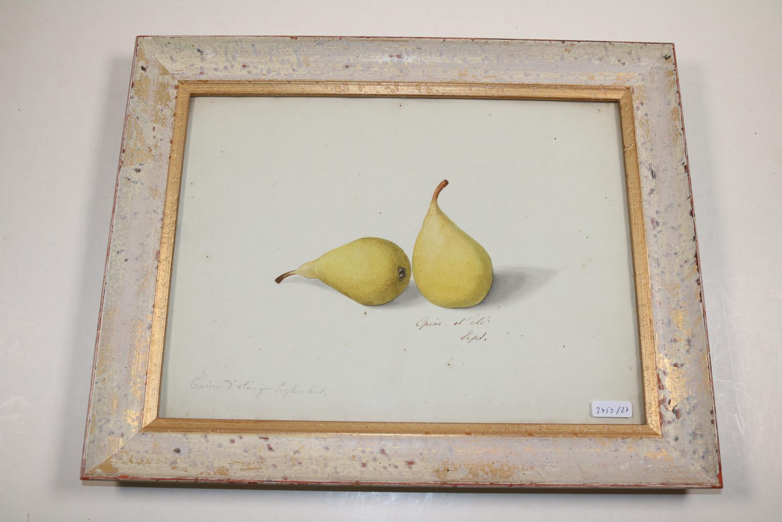 Blaschek,Franz. (1787-1868) | Bild Nr.22