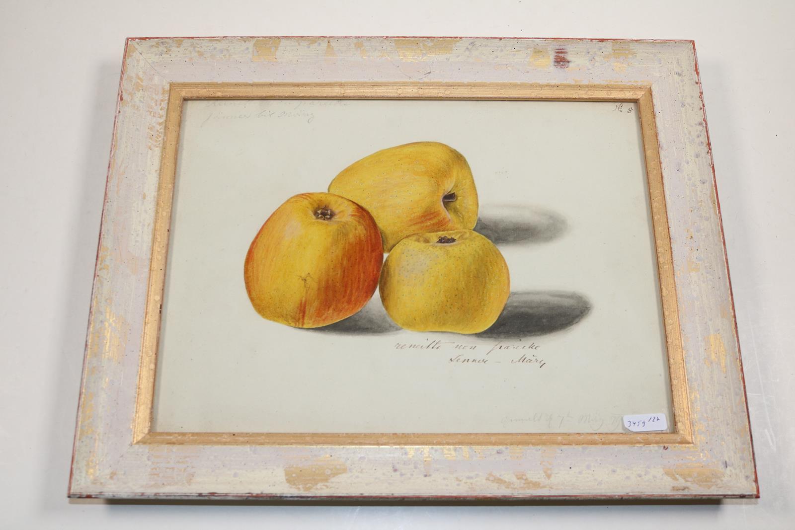 Blaschek,Franz. (1787-1868) | Bild Nr.23