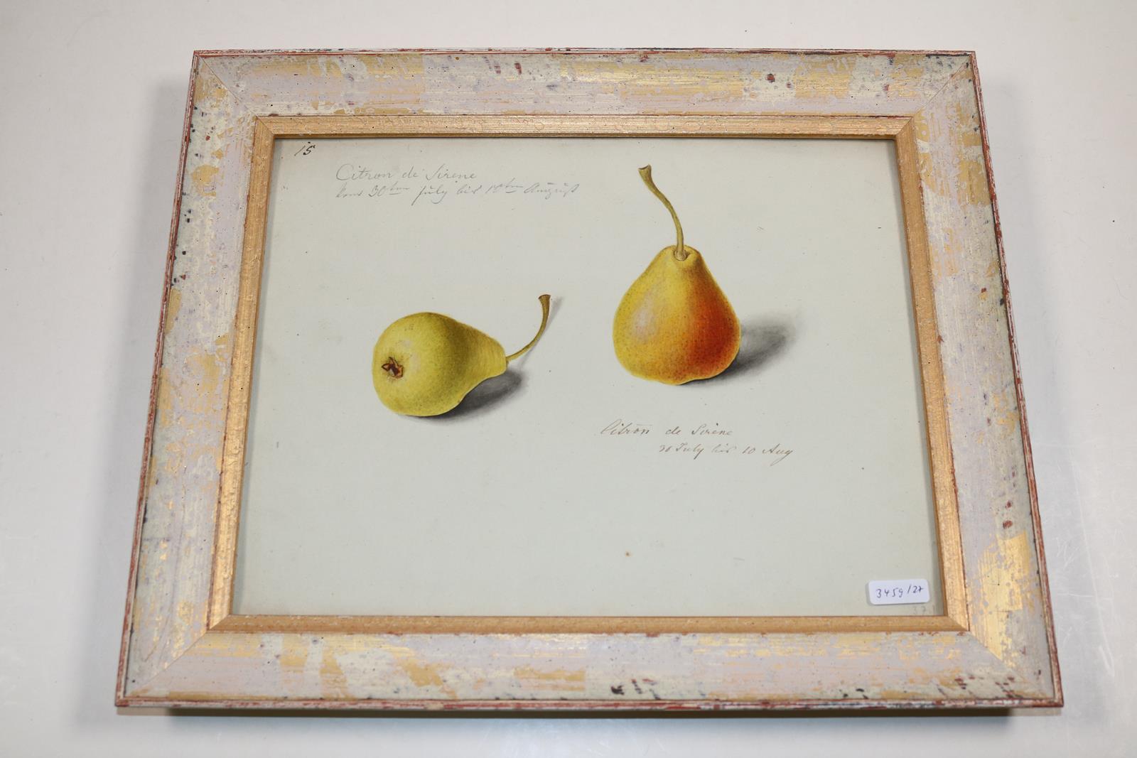 Blaschek,Franz. (1787-1868) | Bild Nr.25