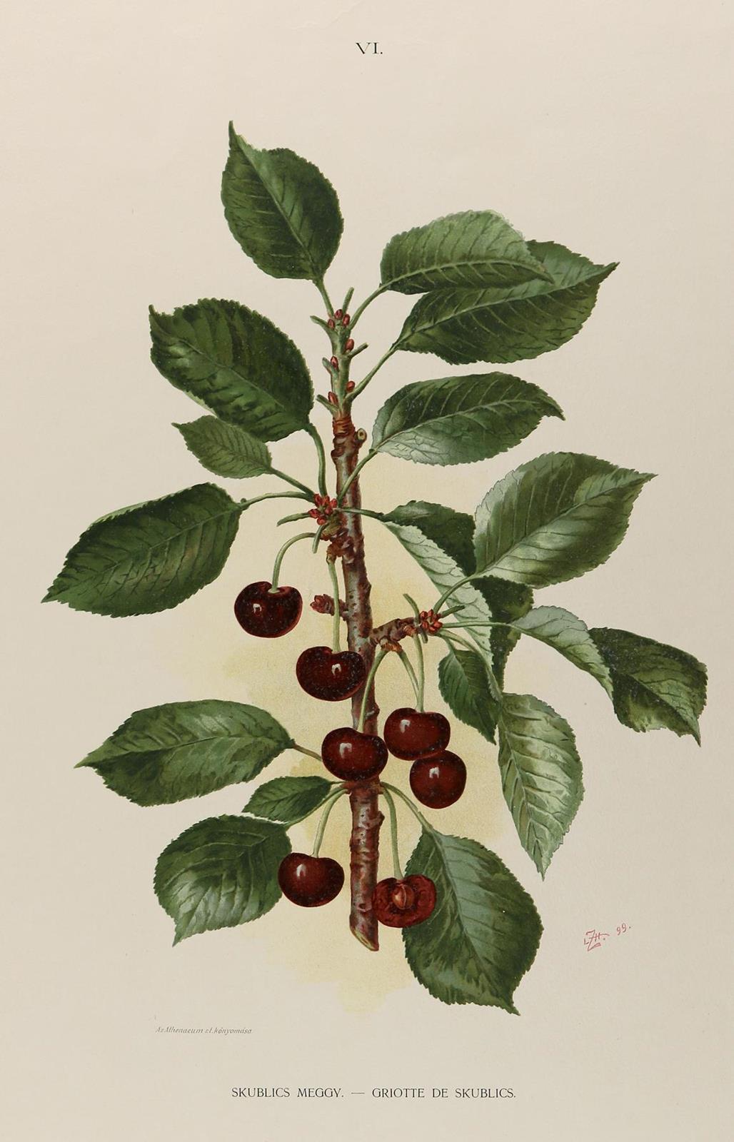 Sammlung | Bild Nr.1