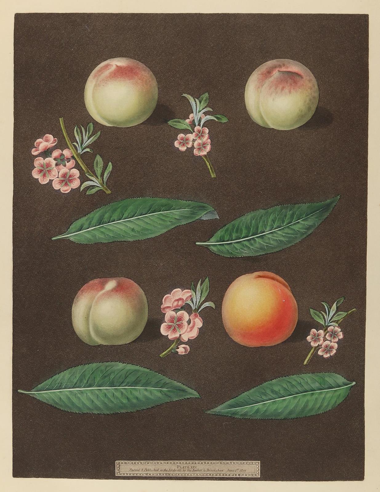 Sammlung | Bild Nr.4