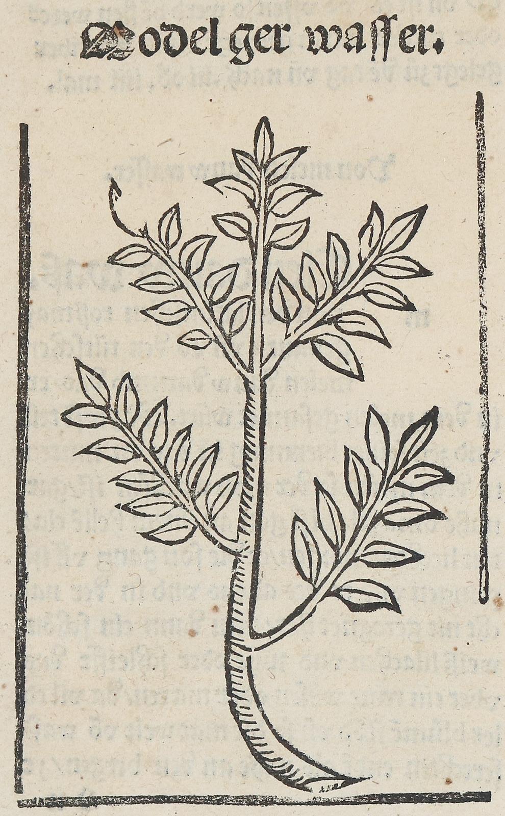 Sammlung | Bild Nr.1