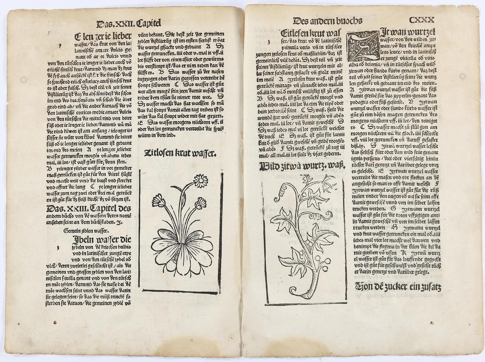 Sammlung | Bild Nr.2