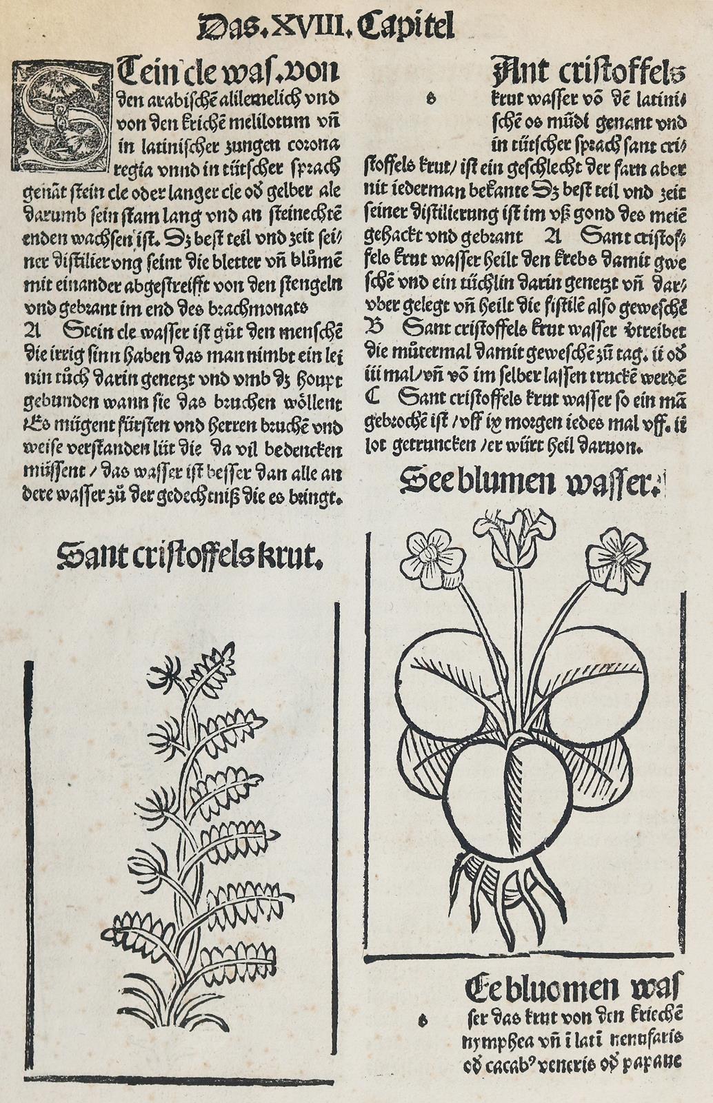 Sammlung | Bild Nr.3