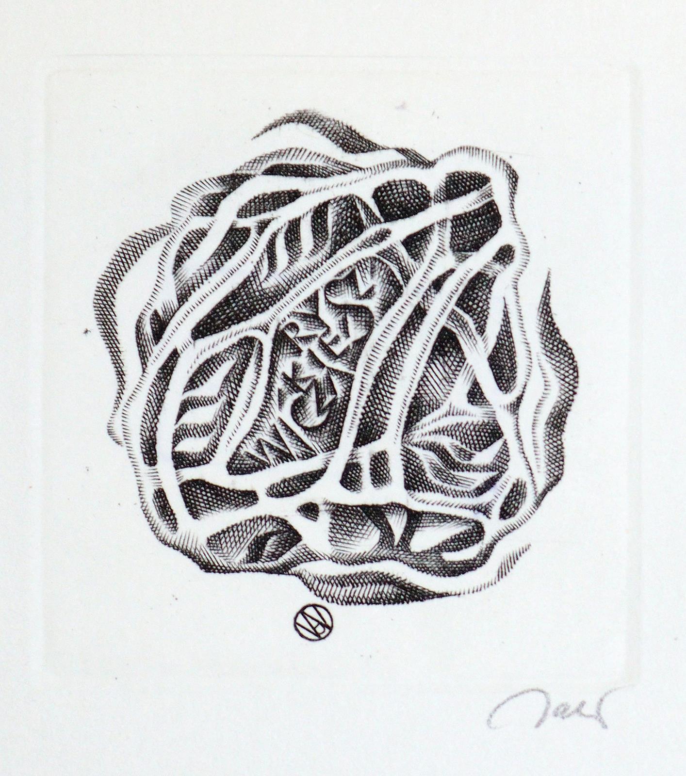 Sammlung | Bild Nr.8