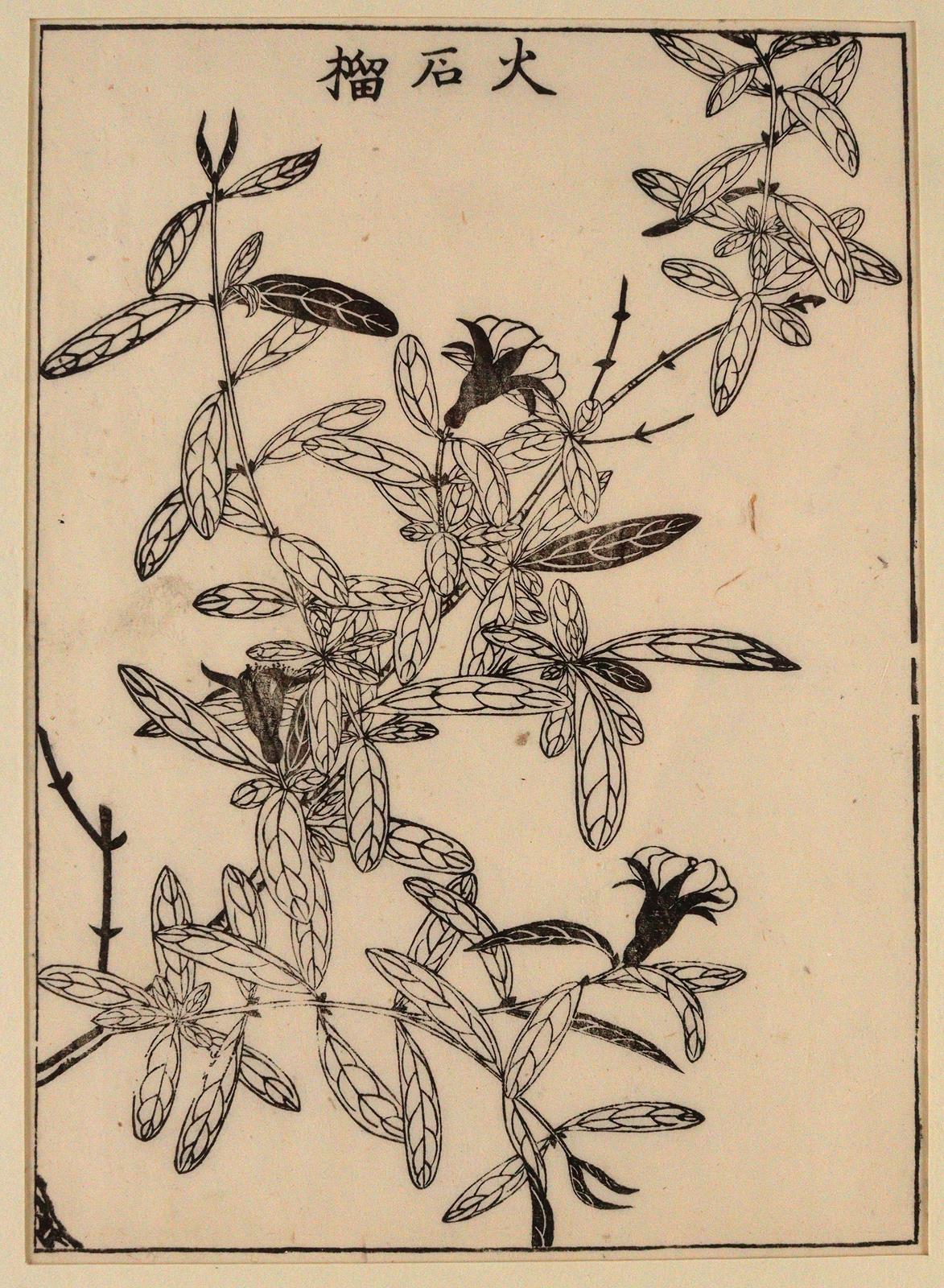 Konvolut | Bild Nr.8