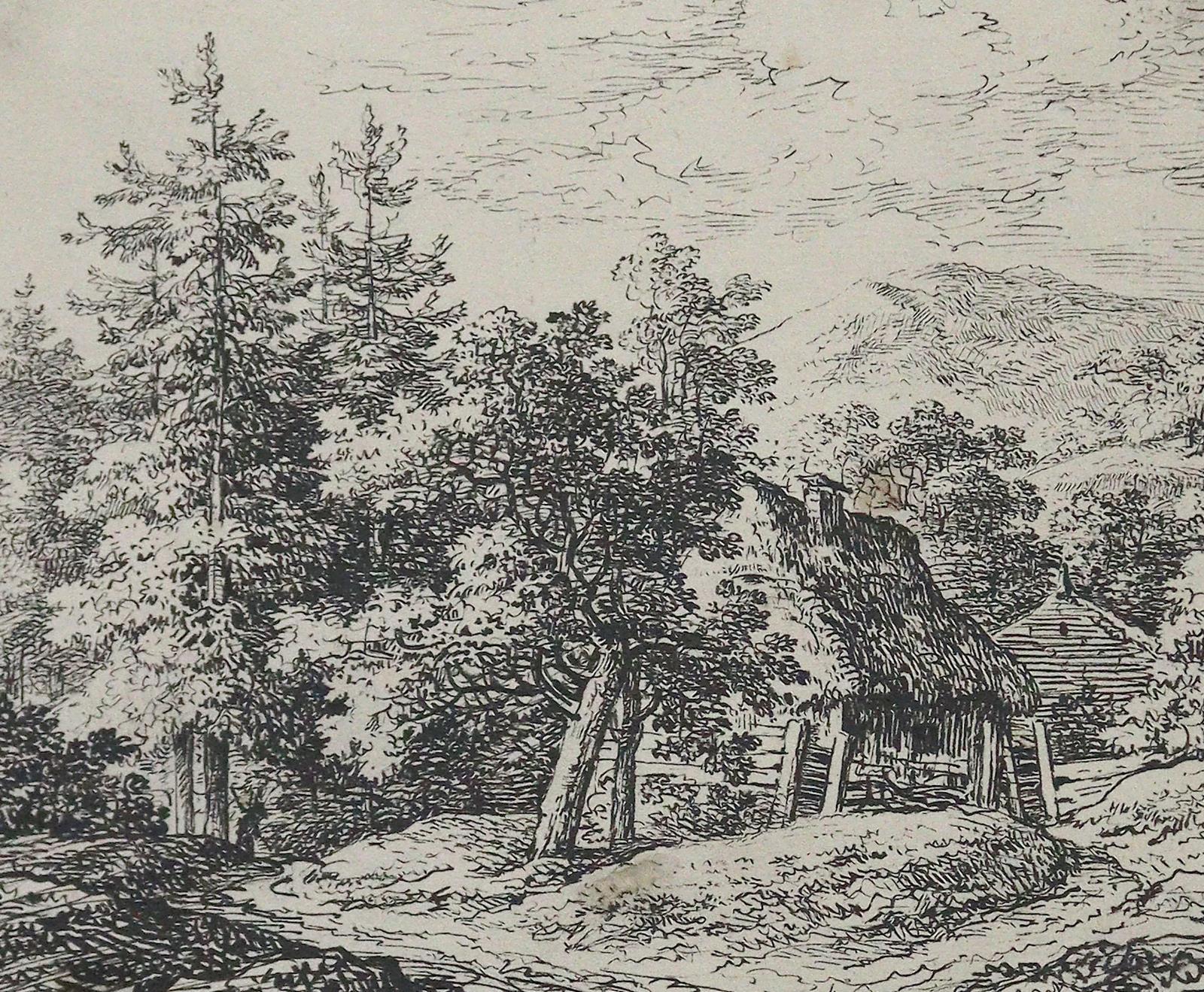 Sammlung | Bild Nr.4