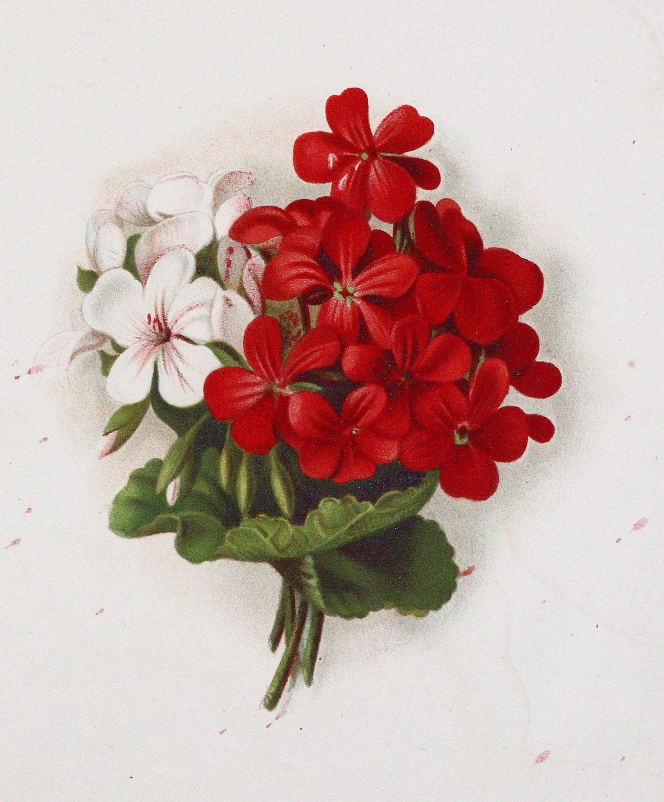 Zeichenschule. | Bild Nr.2