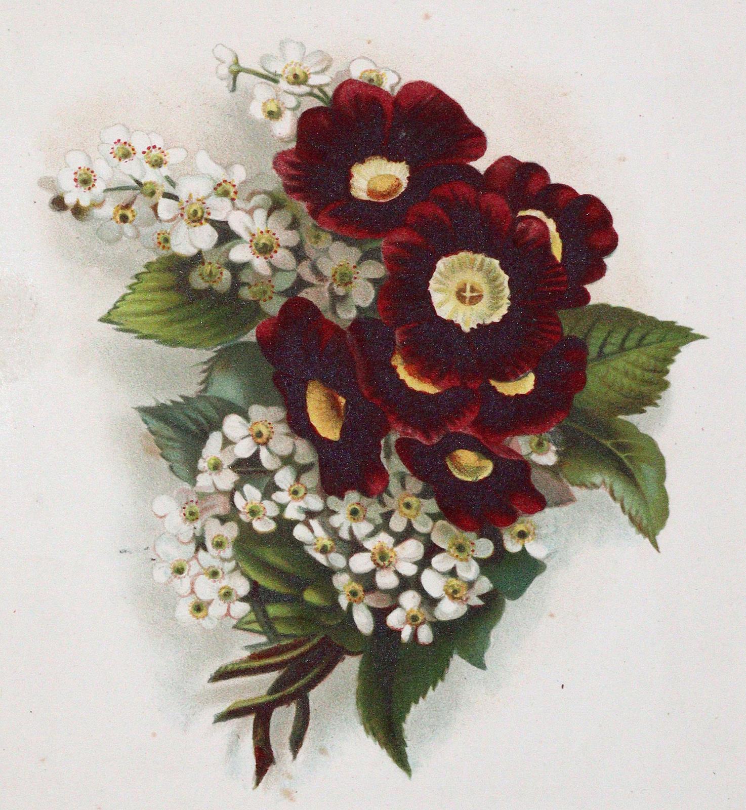 Zeichenschule. | Bild Nr.3