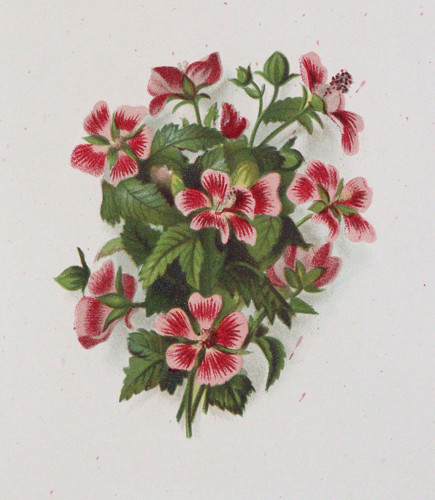 Zeichenschule. | Bild Nr.4