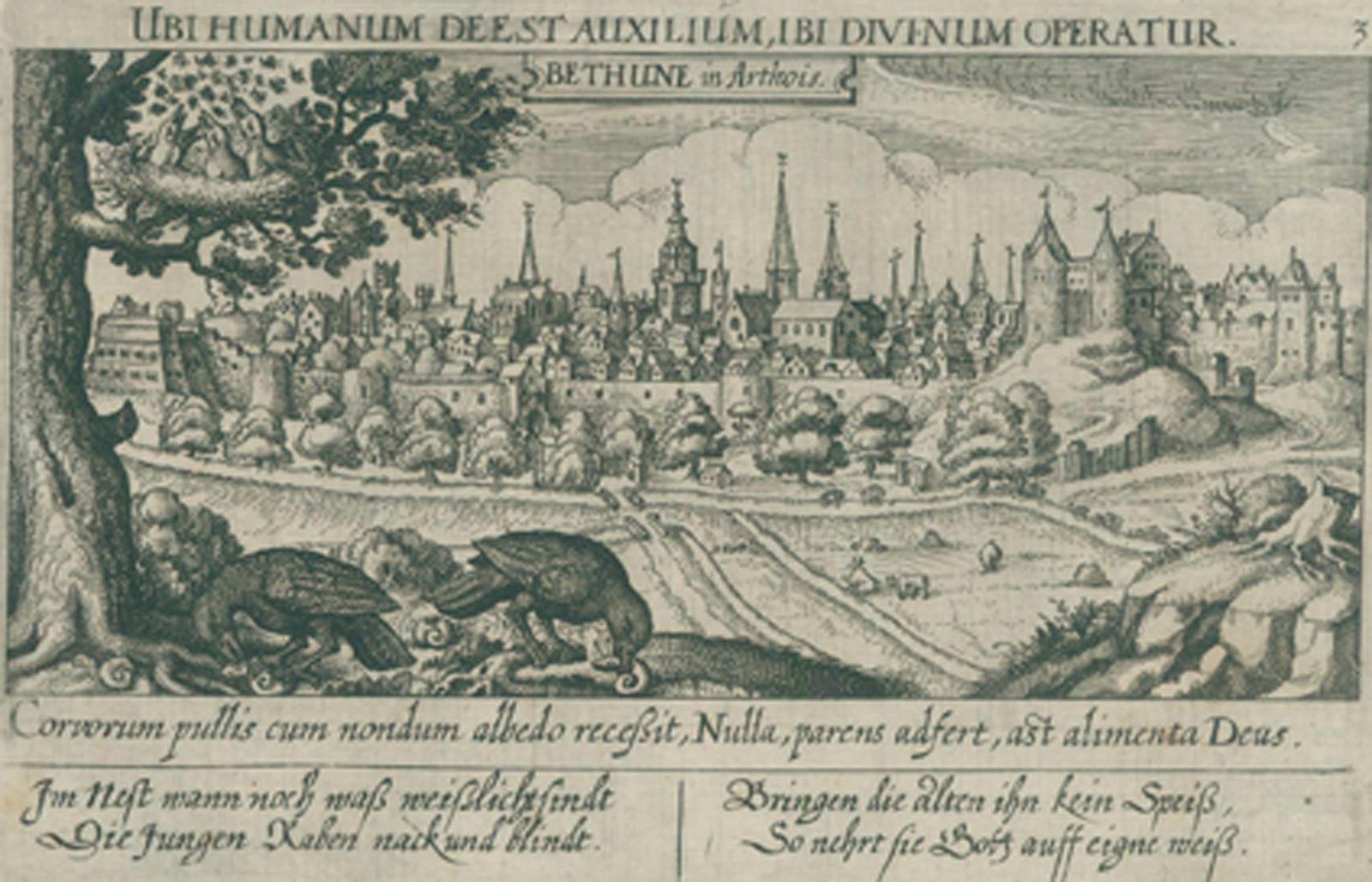 Meisner. | Bild Nr.3